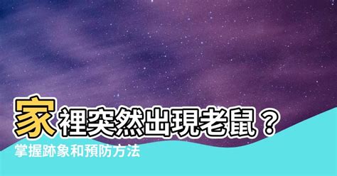 老鼠出現原因|發現老鼠入侵！家裡突然有老鼠該怎麼辦？ ‣ 耀際病。